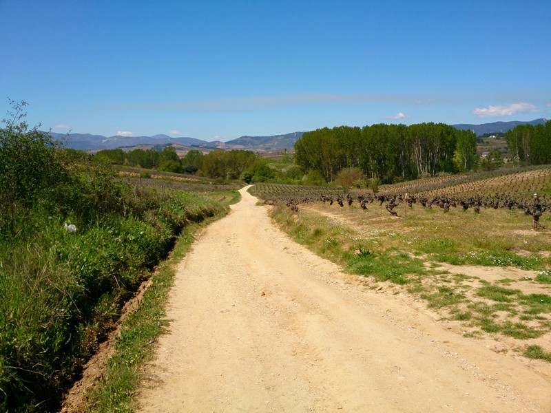 A gravel road in Spain