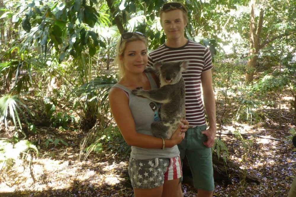 travelling weasels - koala - house sitting