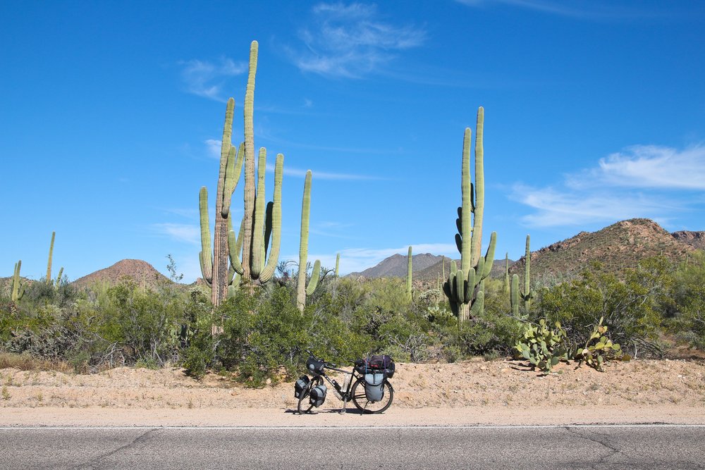Saguaro National park, Arizona - Cycling Across South America