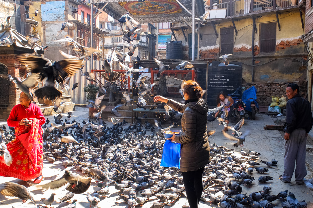 People feeding pidgeons in Kathmandu