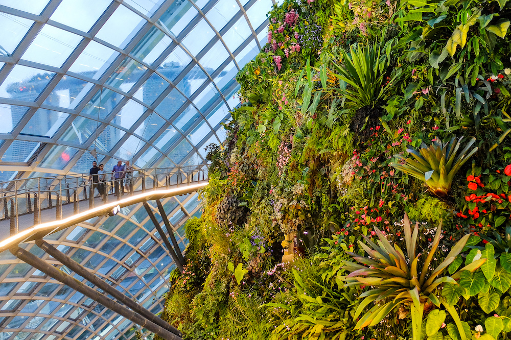 Cloud Forest, in Gardens by the Bay, Singapore